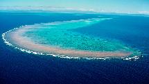 Scenic Flight Over The Great Barrier Reef - 40 Minutes - Guaranteed Window Seat
